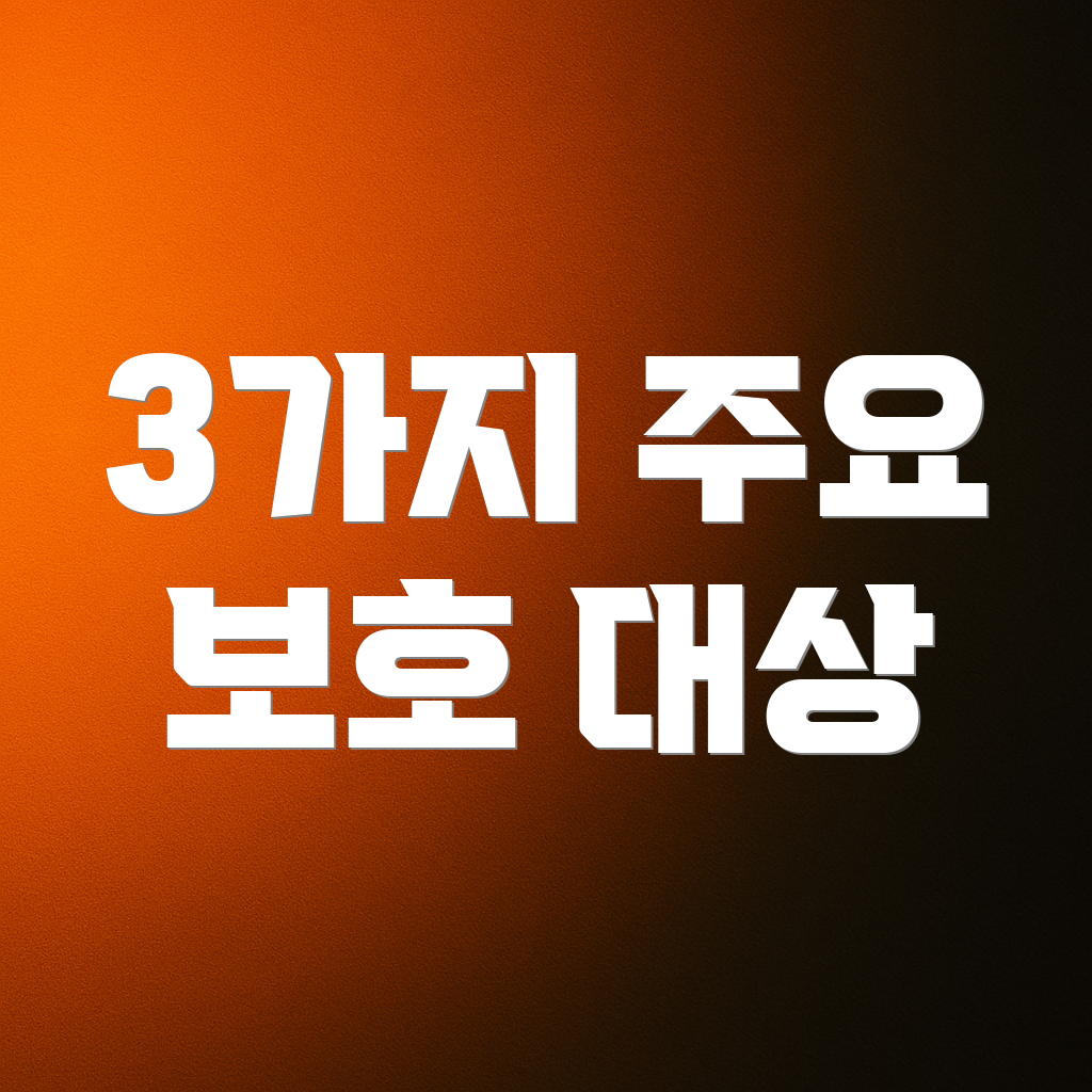3가지 주요 보호 대상